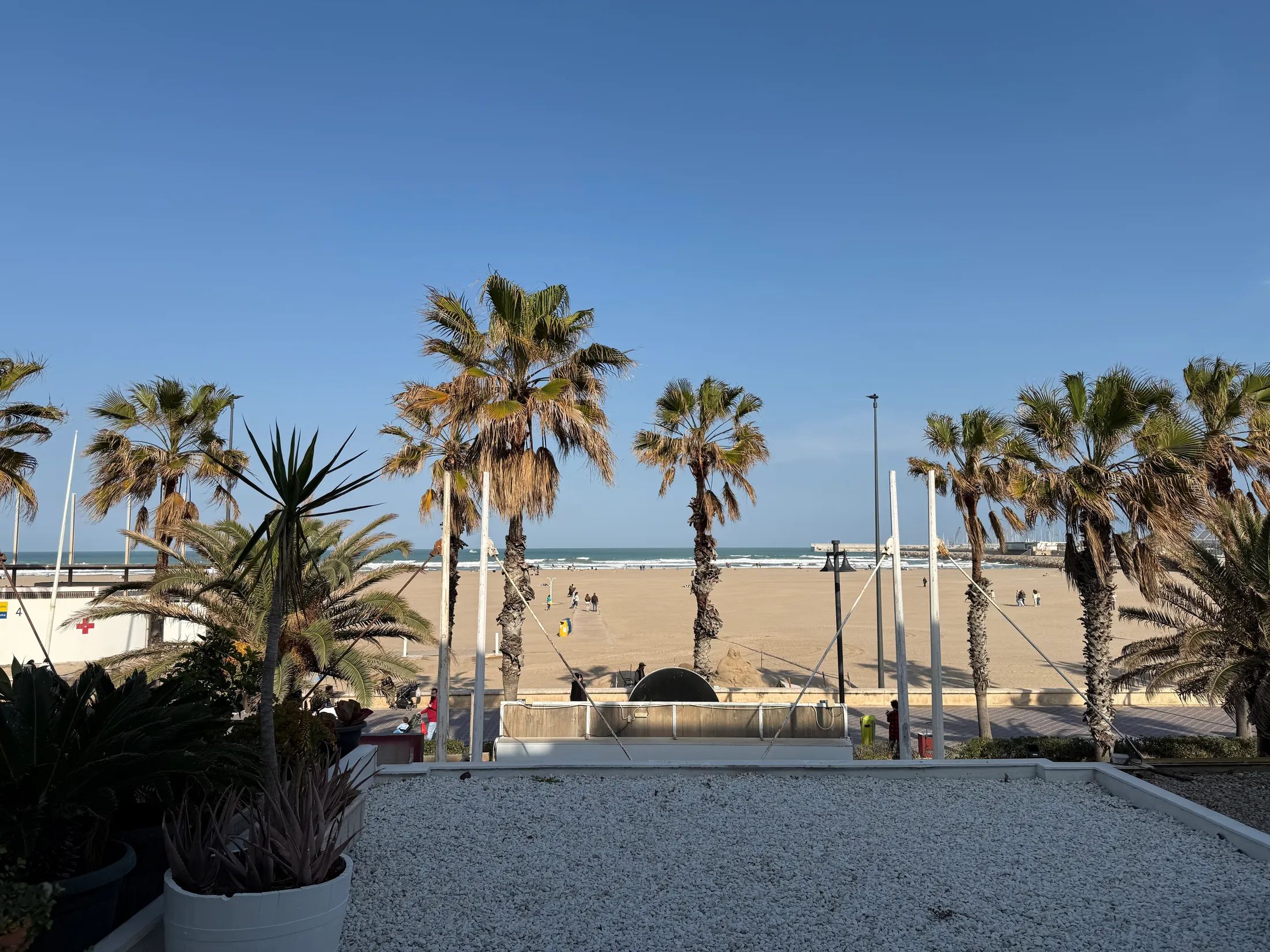 View of the beach and palm trees, apartment 3