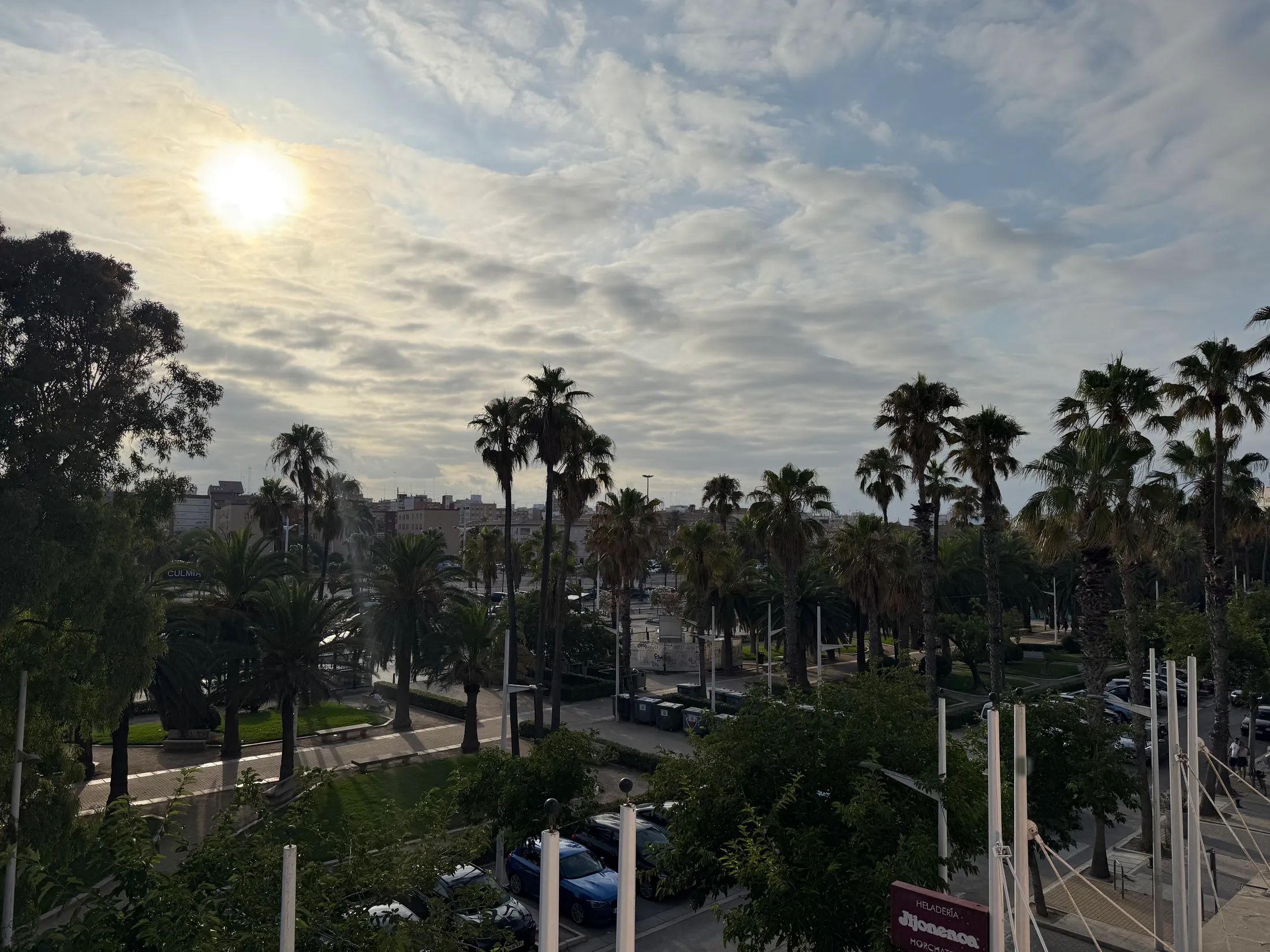 View of the beach and palm trees, apartment 5