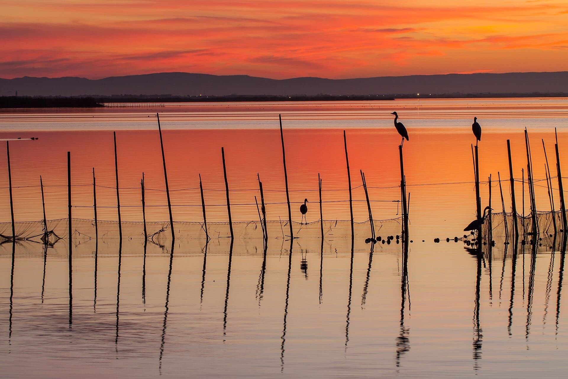 Proue d’une barque sur l’Albufera, le soleil sur l’eau